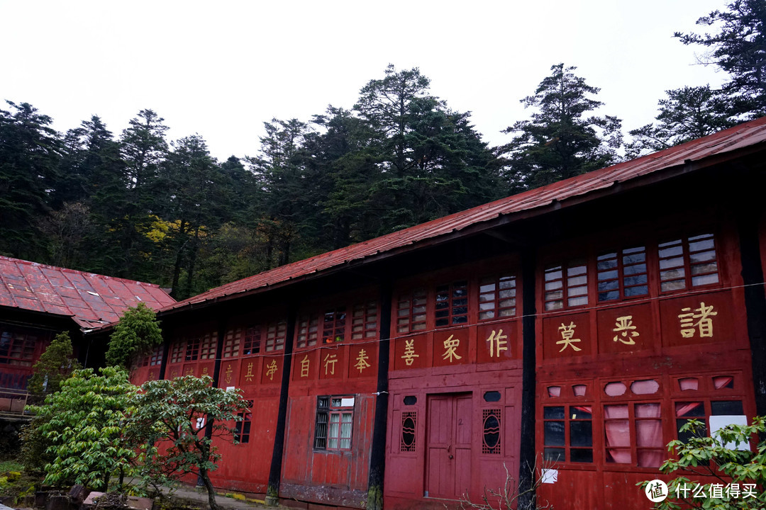 秋意浓，一起来看峨眉360°无死角美颜——记峨眉山两日游