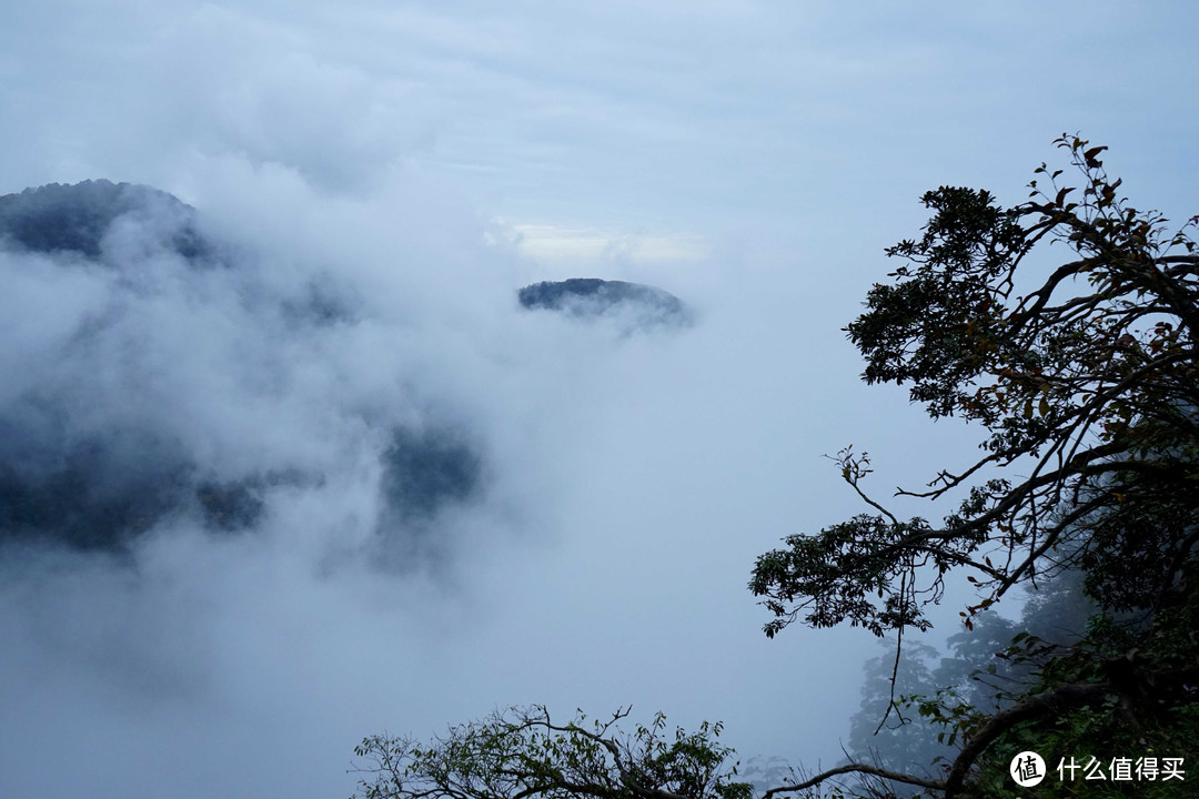 秋意浓，一起来看峨眉360°无死角美颜——记峨眉山两日游