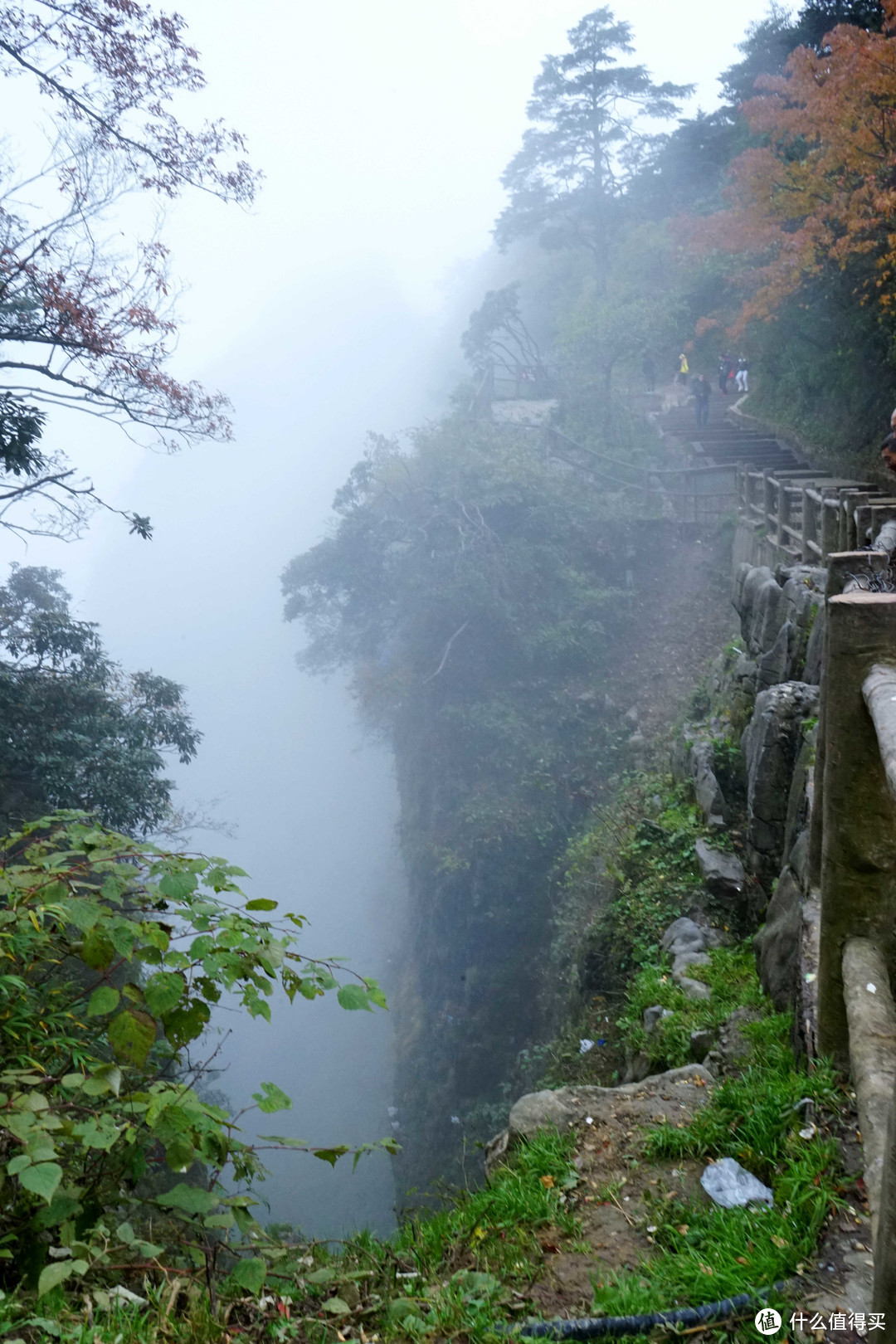 秋意浓，一起来看峨眉360°无死角美颜——记峨眉山两日游