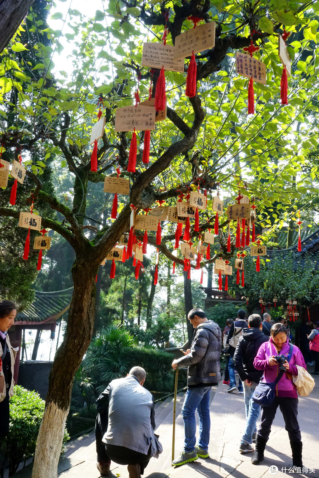 秋意浓，一起来看峨眉360°无死角美颜——记峨眉山两日游