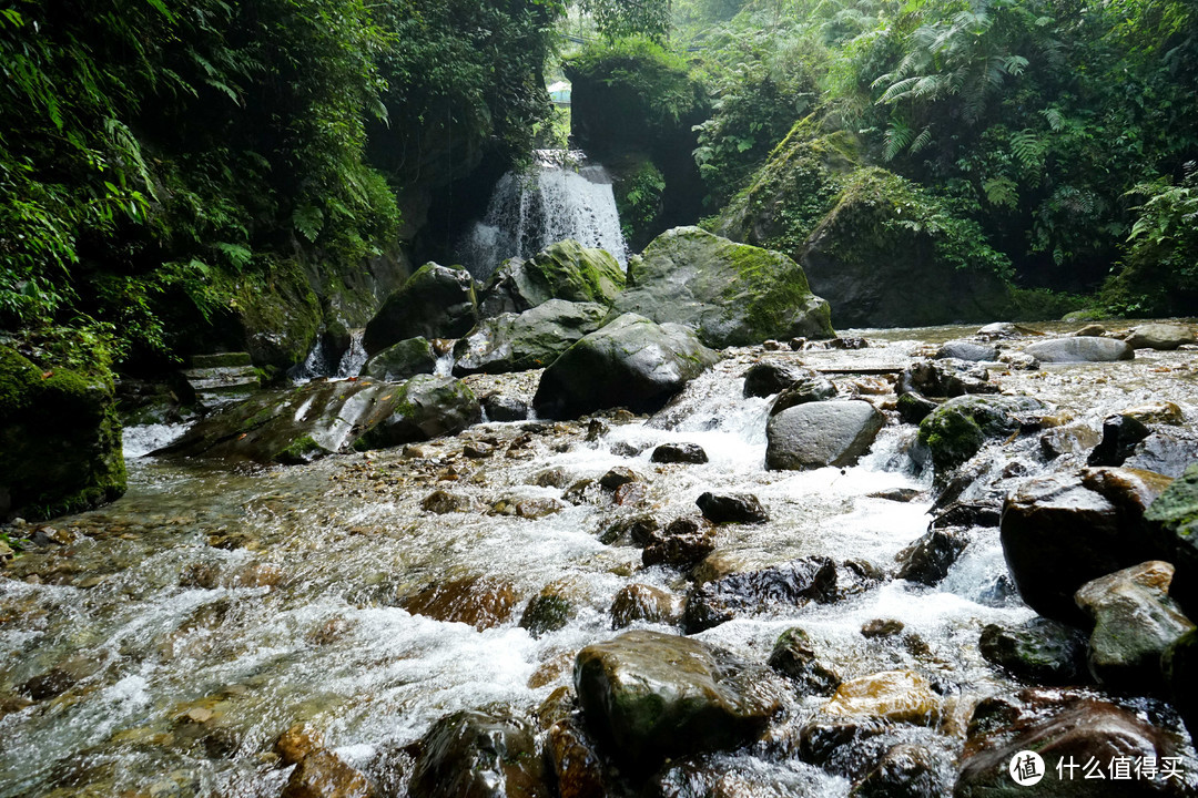 秋意浓，一起来看峨眉360°无死角美颜——记峨眉山两日游