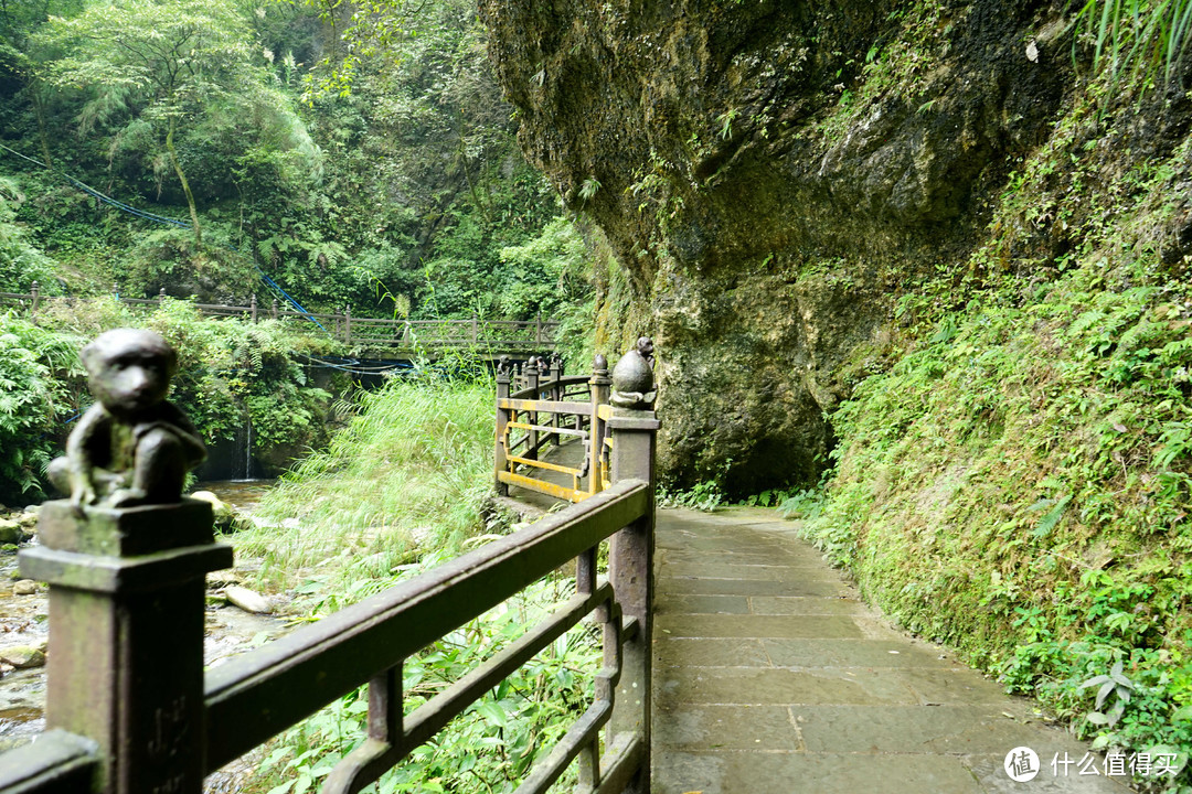 秋意浓，一起来看峨眉360°无死角美颜——记峨眉山两日游