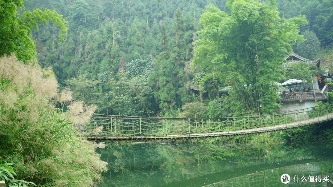 秋意浓，一起来看峨眉360°无死角美颜——记峨眉山两日游