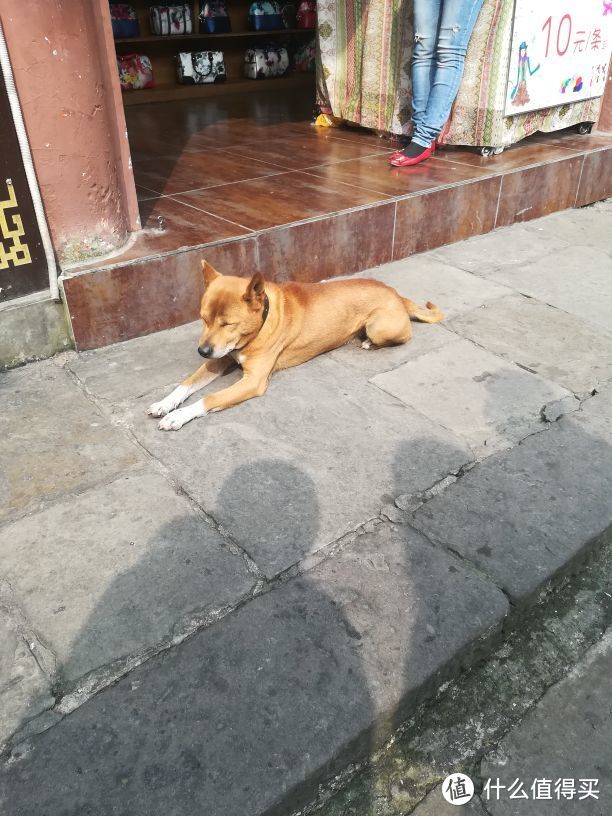 专业指导重庆如何玩 — 一次超长的重庆游记