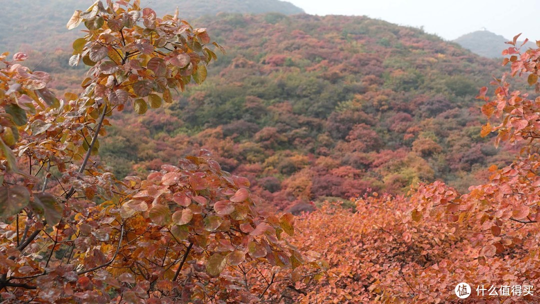 北京房山坡峰岭一日游记