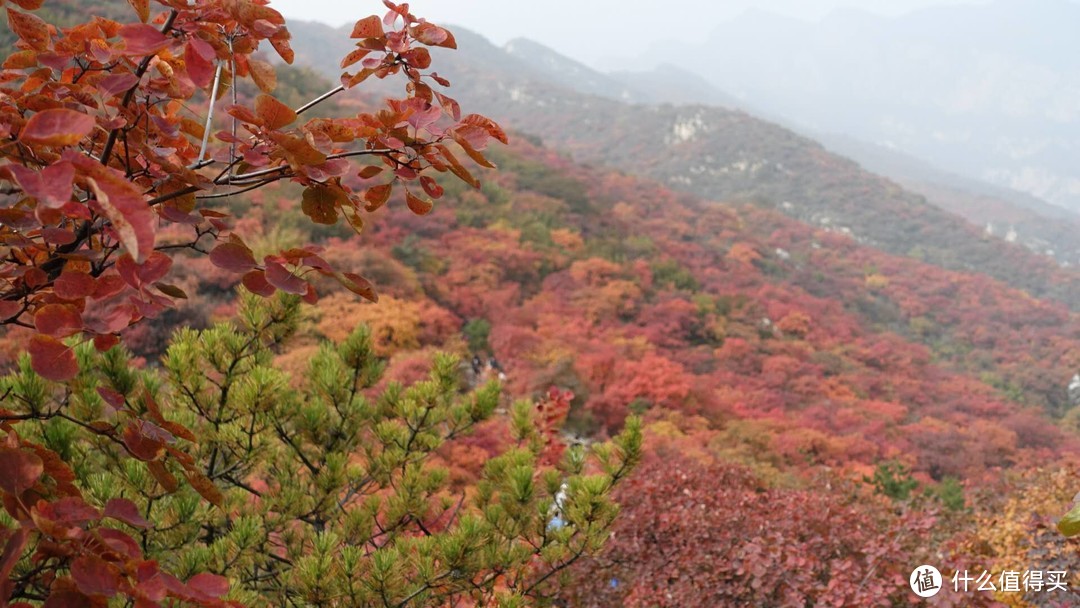 北京房山坡峰岭一日游记