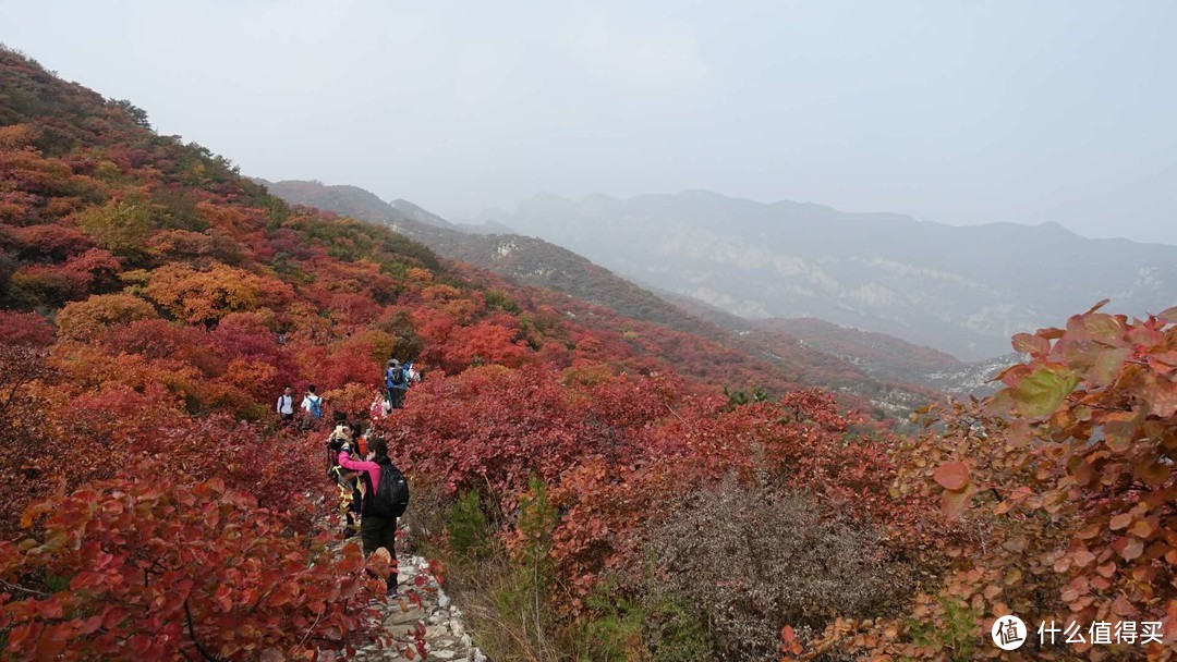 北京房山坡峰岭一日游记