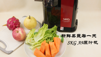 新鲜果蔬每一天---SKG A9大口径原汁机视频评测