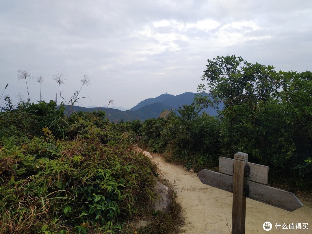 香港另一面的美，港岛径25KM暴走