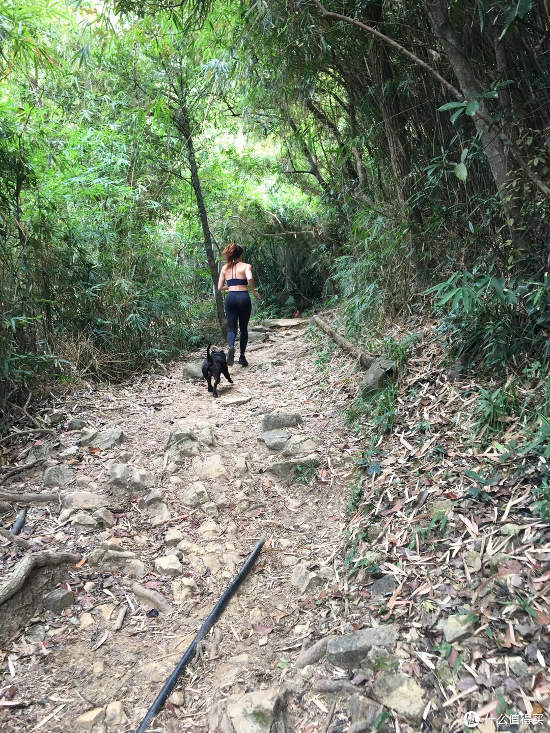 香港另一面的美，港岛径25KM暴走