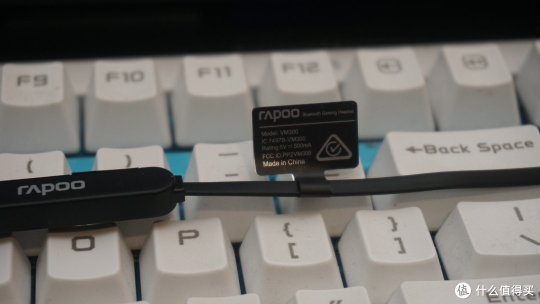 七年止痒-第一次获得张大妈的众测产品-雷柏RAPOO VM300 蓝牙游戏耳机