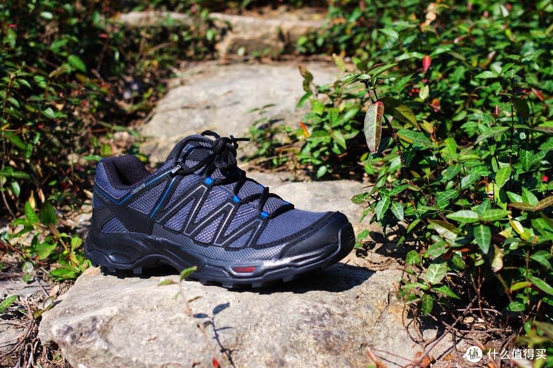 鞋中86 — Salomon WENTWOOD GTX 徒步鞋