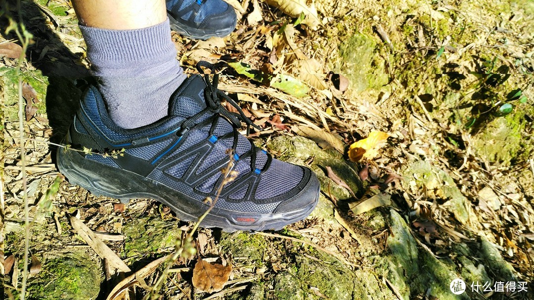 鞋中86 — Salomon WENTWOOD GTX 徒步鞋