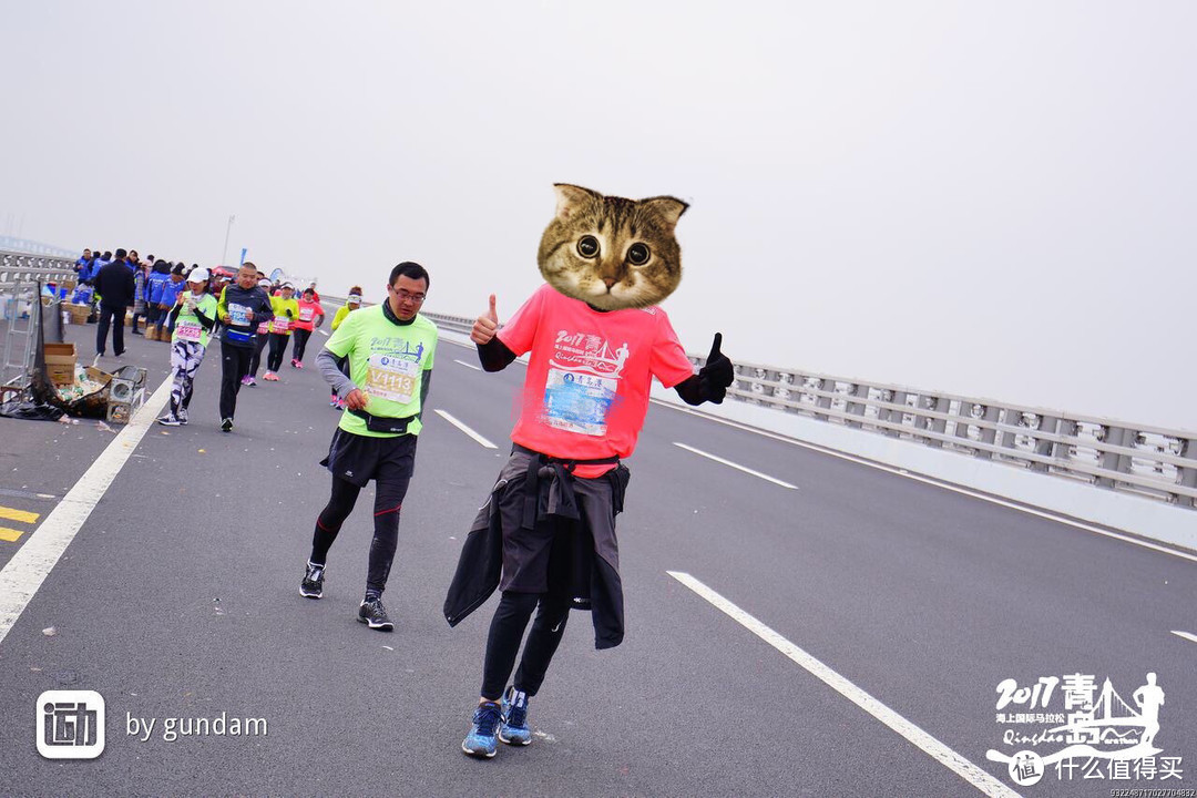 跑渣带你来跑马—青岛跨海大桥国际马拉松流水账