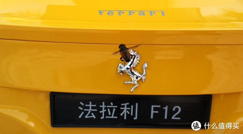 #晒单大赛#给娃买的Rastar 星辉 Ferrari F12 法拉利电动童车