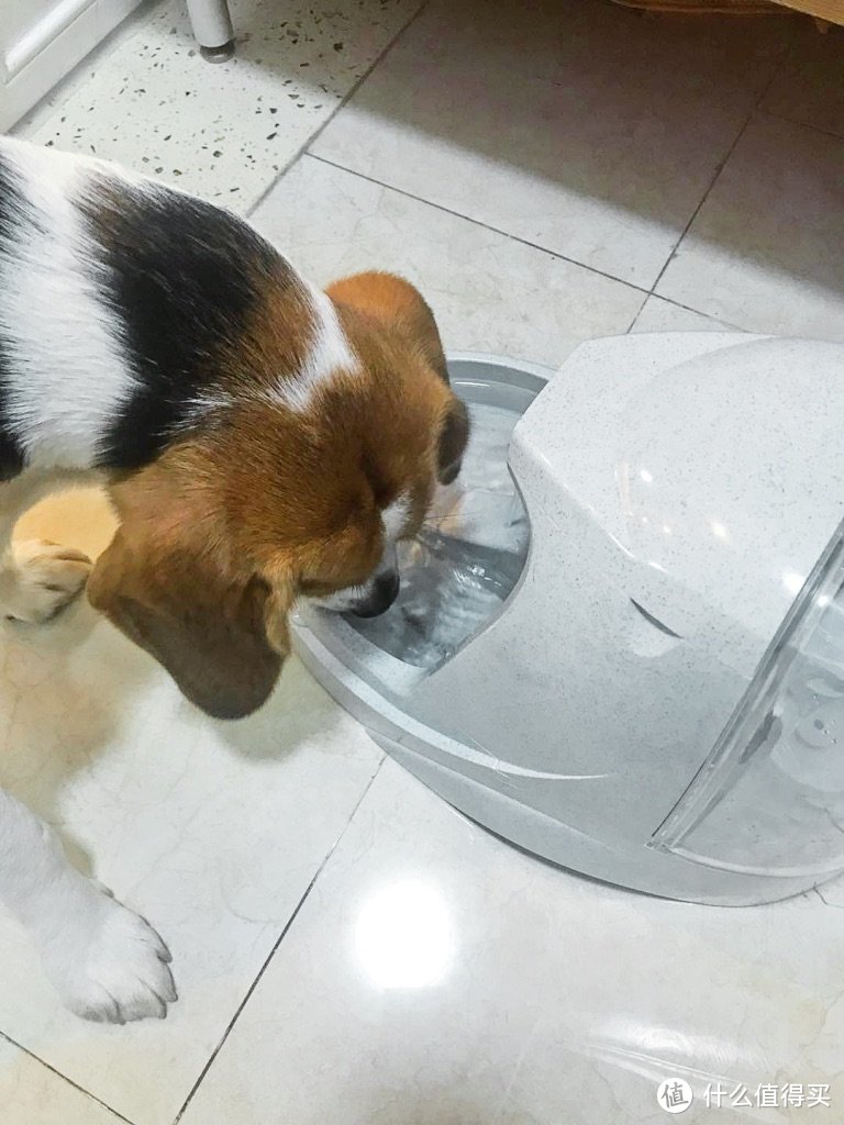 宠物也要饮水安全---贝适安®Drinkwell*铂金版宠物喷泉饮水器评测报告