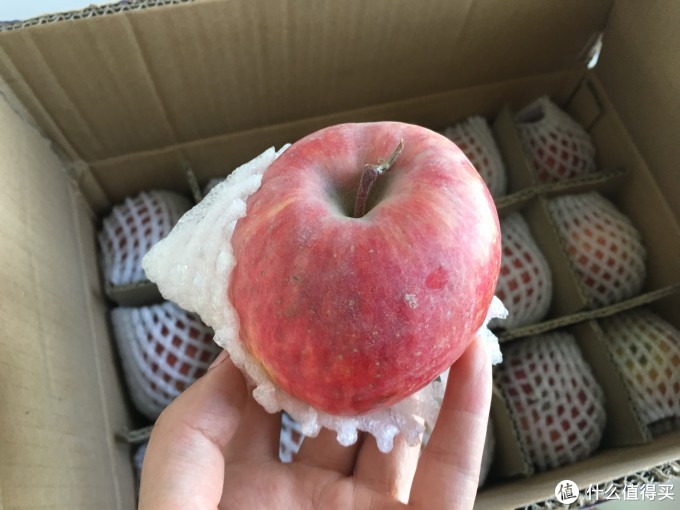这个双十一入手的几样好吃、好用的,良心推荐
