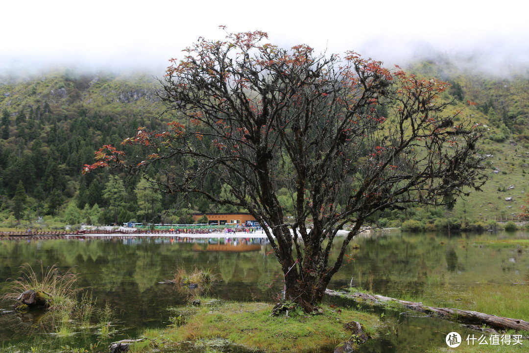 成都-都江堰-理县-汶川-理县（毕棚沟）-黑水（达古冰川）