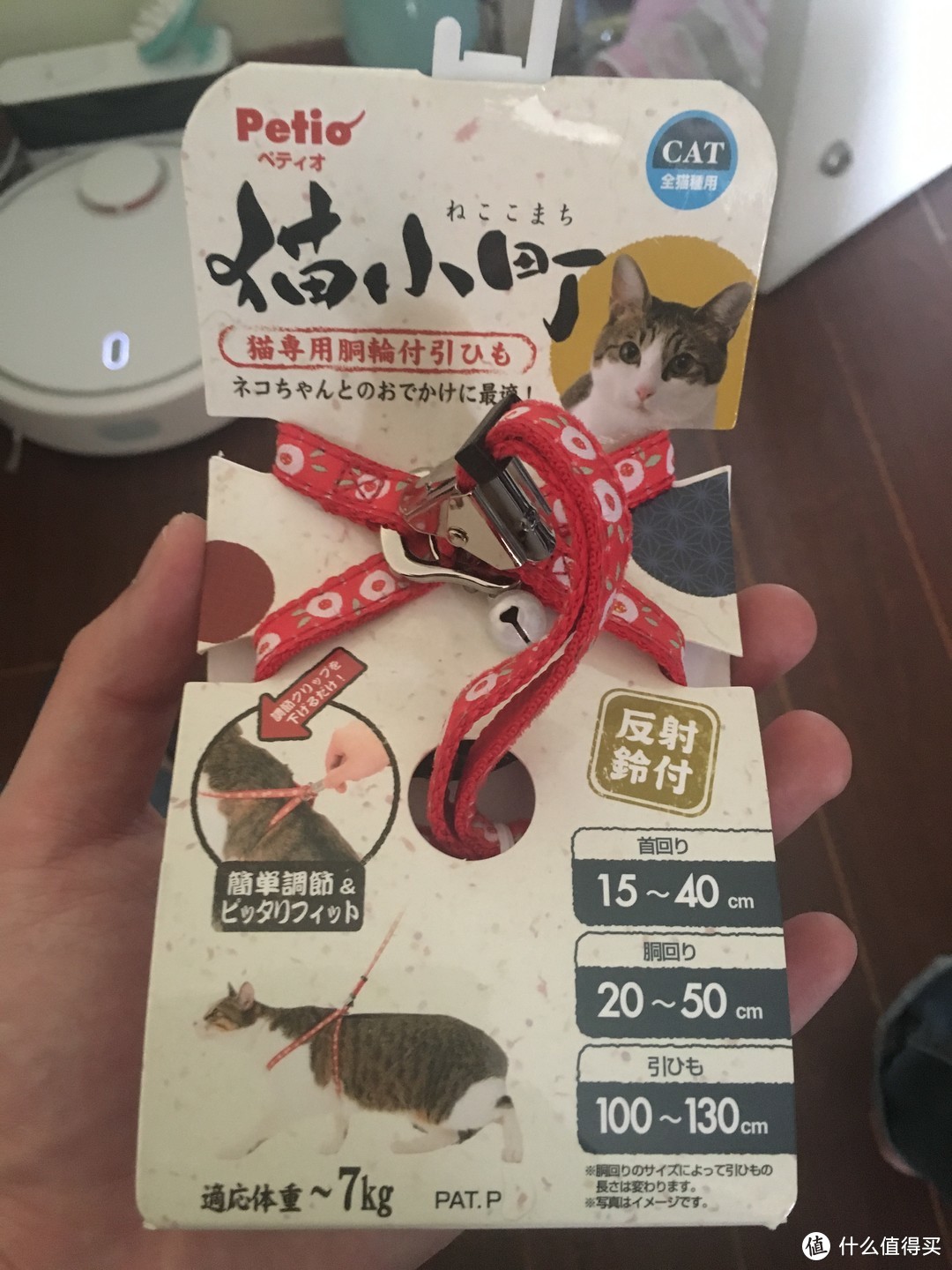 #原创新人#皮皮猫，我们走