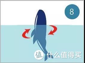 冬季限定 | 去冲绳和鲸鱼来一场约会！