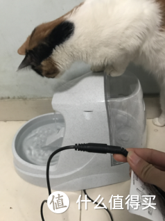 ​贝适安Petsafe Drinkwell宠物喷泉饮水器评测