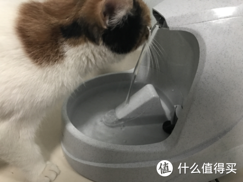 ​贝适安Petsafe Drinkwell宠物喷泉饮水器评测