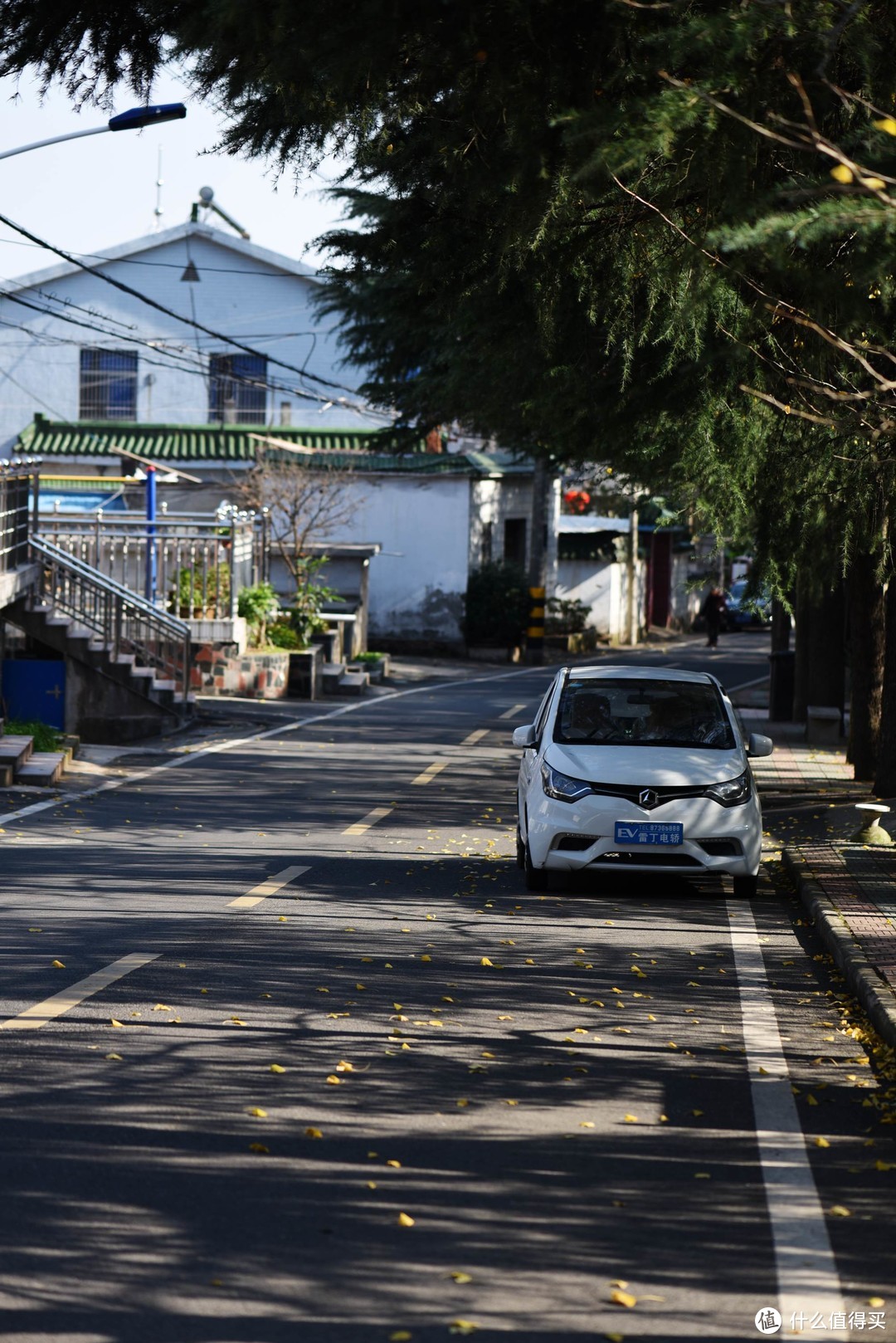 周末好去处—宜兴竹海徒步游小记兼NIKON 尼康 105mm 微距镜头试镜