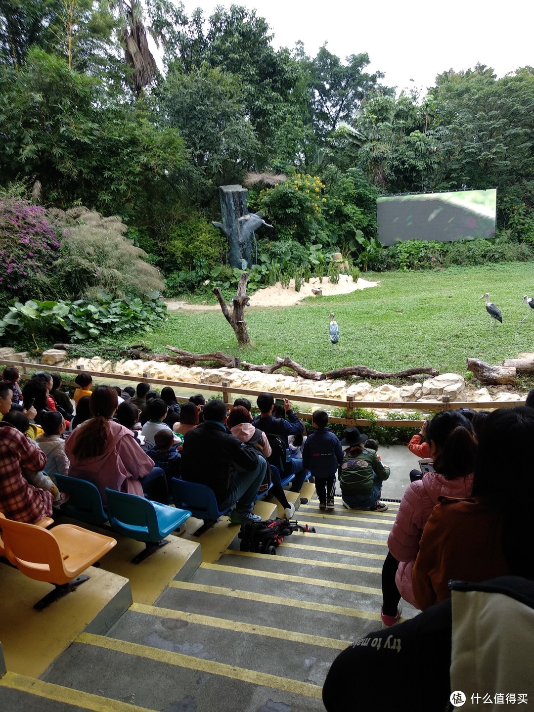 动物下面是后来坐的小火车非洲人表演孩子的游乐园白虎白虎爬树白虎