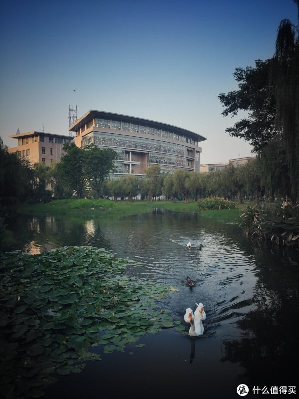 手机拍照技巧 | 如何用手机拍好照片