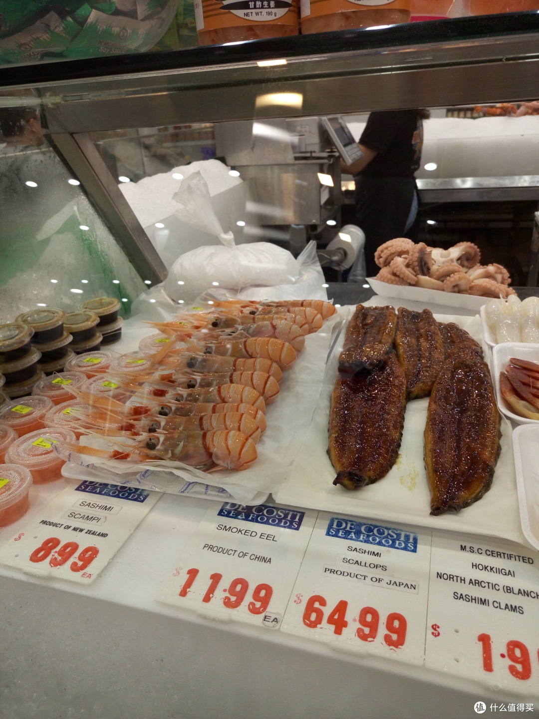 房车上的袋鼠国—澳大利亚自驾游记