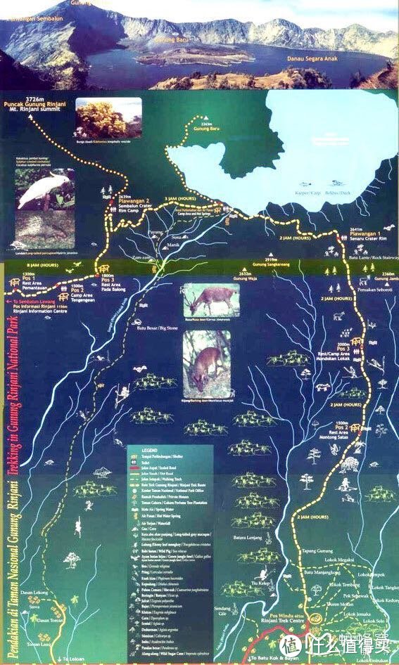 南纬8°，水火亦能相融—漫游龙目岛，登顶林贾尼