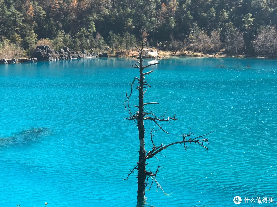 说走就走的旅行—周末双飞丽江两日游