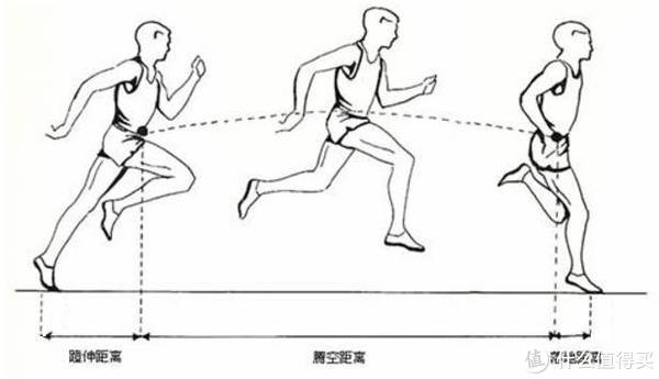 Длина шага спортсмена бегуна. Фазы бега. Основы техники ходьбы и бега. Схема движения человека ходьба. Фазы шага при беге.
