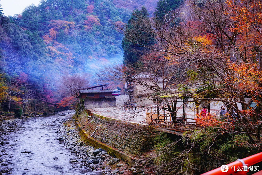 京都红叶狩—神护寺