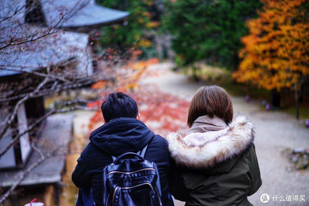 京都红叶狩—神护寺