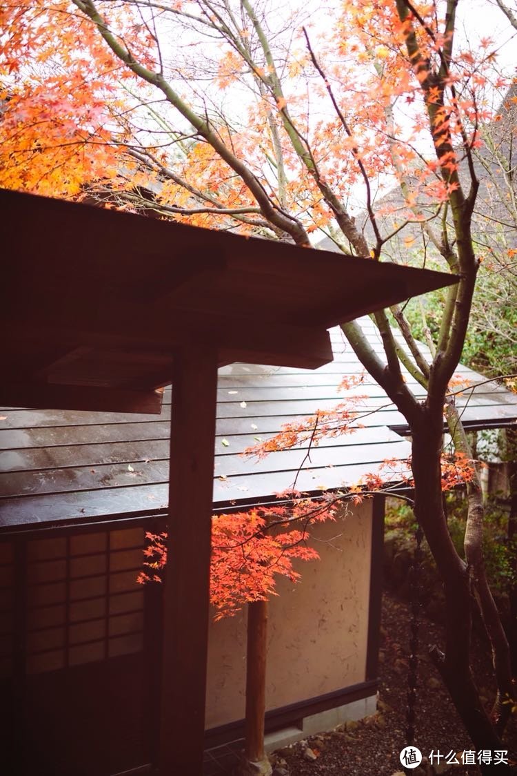 冬日亲子漫游九州（福冈，由布院，黑川温泉，熊本，指宿和鹿儿岛）