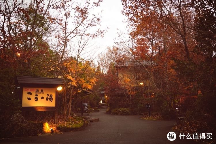 冬日亲子漫游九州（福冈，由布院，黑川温泉，熊本，指宿和鹿儿岛）