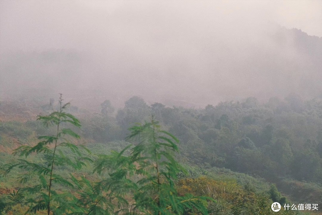 她在采艾草的山谷与自己的家一见钟情，从此放下一切，认真隐居