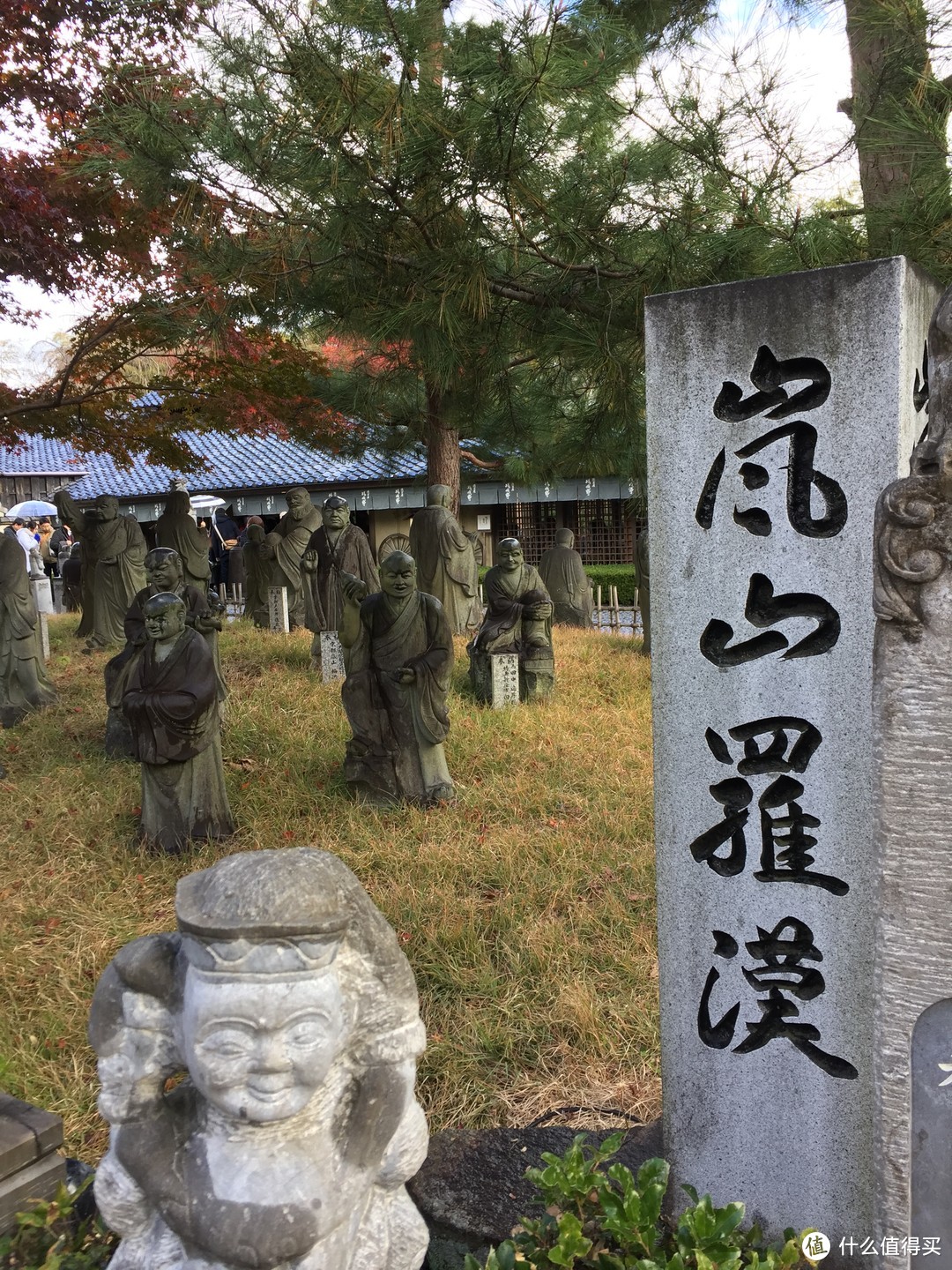 见习司机时隔半年再开车：像当地人一样游红枫关西