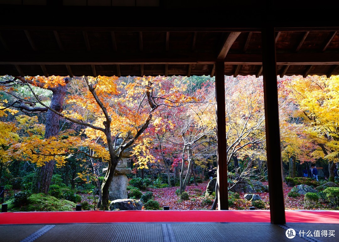 京都：圆光寺，京都御院，伏见稻荷