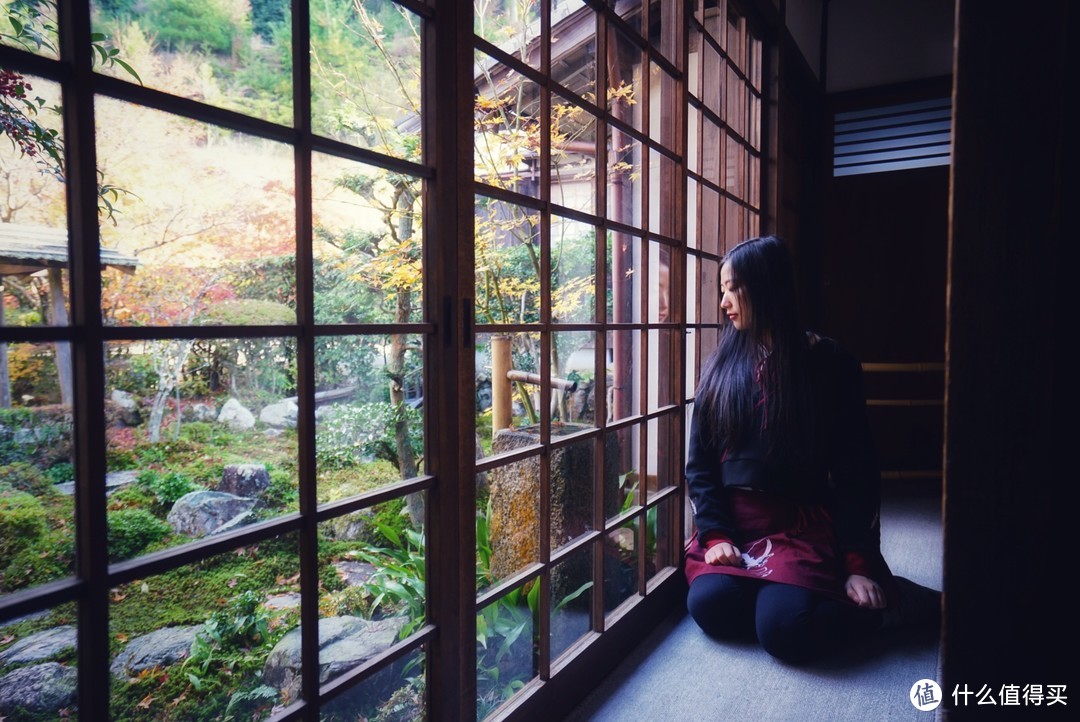 京都：圆光寺，京都御院，伏见稻荷