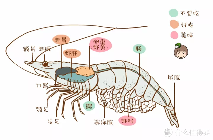 白菜怎么煮更好吃？这法子你肯定想不到