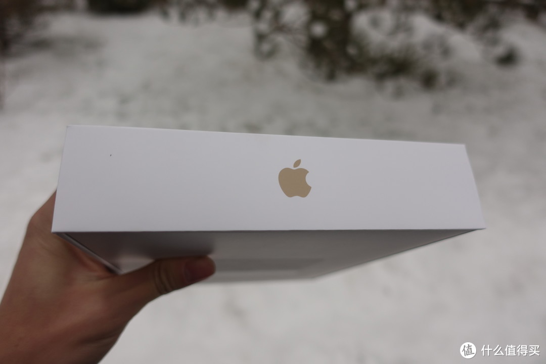 #晒单大赛#双十二小剁怡情：Apple 苹果 ipad 32g金色 开箱