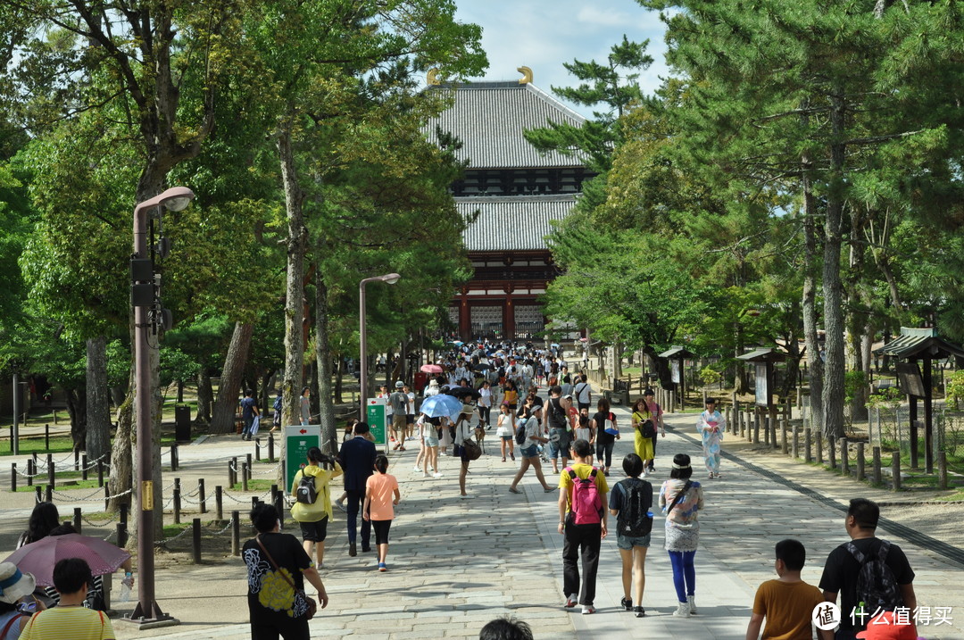 炎热夏季7月春秋旅行之随团关西五日行（两年前跟团游的坑之前篇）