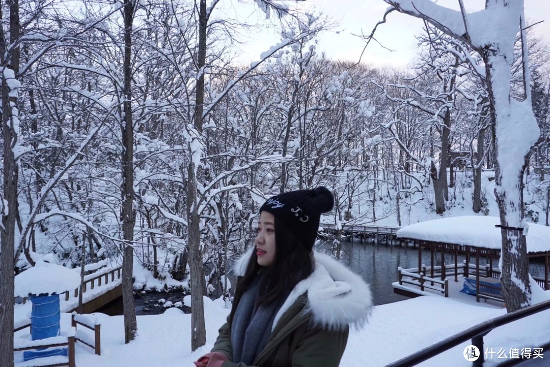 北海道的冬季，唯美的雪景（札幌、小樽、洞爷湖...）
