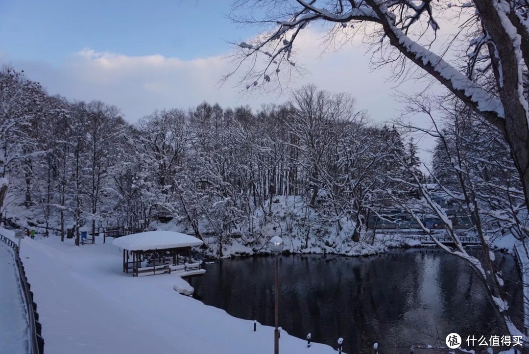 北海道的冬季，唯美的雪景（札幌、小樽、洞爷湖...）