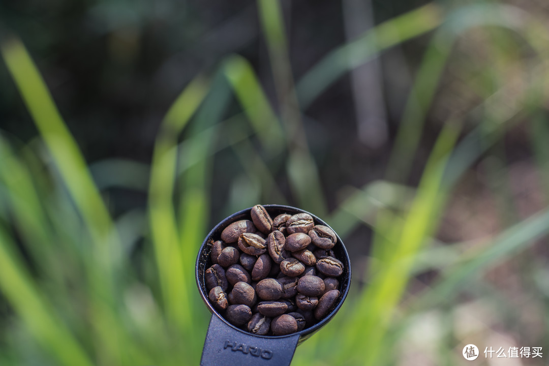 来一杯差不多的手冲咖啡：研磨咖啡杯轻测