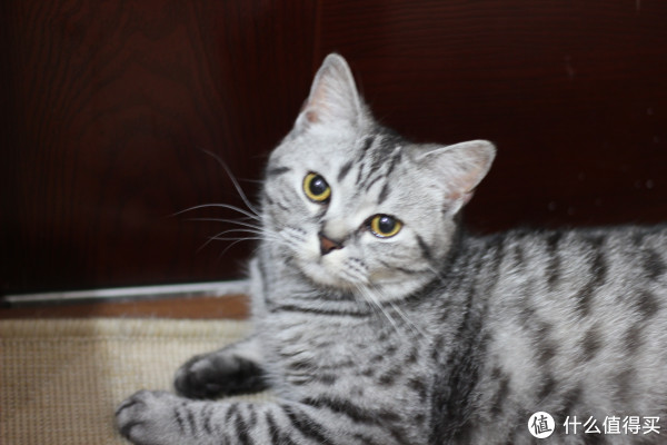 AOC Q2490PXQ 23.8英寸 IPS 2K 显示器检测