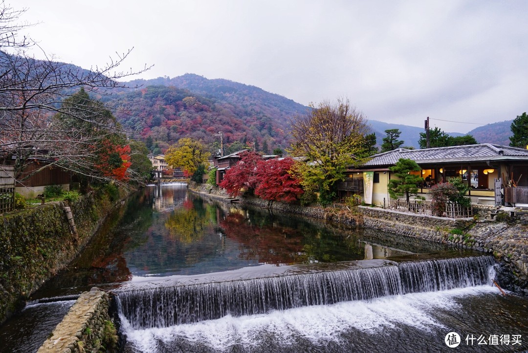 没有让人失望的打卡景点！京都岚山篇