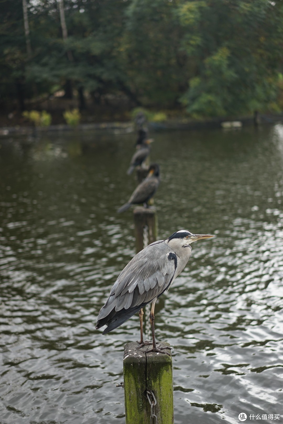 旅行的准备工作、LONDON PASS有关心得以及D1-D3旅行小记